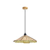 Wood Japanese Nordic Pendant Light Li002611