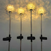 Flowers Decor Solar Lawn Light Ha080970