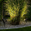 Led 7W Modern Solar Tree Spotlight Li001993