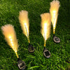 2Pcs Hairy Reed Decor Solar Lawn Lamp Ha080968