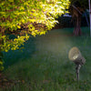Waterproof Led Black Outdoor Spotlight Li002656