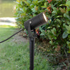 10W Black Adjustable Modern Tree Spotlight Ha089412