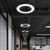 Round Ring Hanging Profile Light Suspended Office Led Pendant Light For Gyms