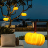 Portable Pumpkin Usb Chargeable Outdoor Light Ha076037