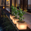 Square Waterproof Solar Flower Pot Light Ha085510