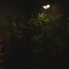 Solar Motion Security Light 3 Head Outdoor Led Wall Fixture With Motion Sensor