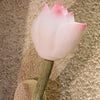 Lotus Flower Wall Lights Fixture Li002525