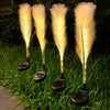 2Pcs Hairy Reed Decor Solar Lawn Lamp Ha080968