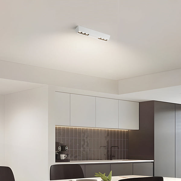 Ceiling Mount Linear Led Spotlight