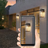 Lantern Shaped Waterproof Glass Industrial Outdoor Wall Sconce Lighting
