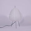 Xuanzhi Table Lamp