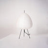 Xuanzhi Table Lamp