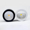 Anzio Spotlights