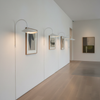 arum-wall-lamp