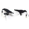 Bird Wall Light