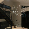 Black Firefly Led Chandelier