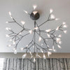 Black Firefly Led Chandelier