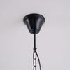 braeden-pendant-light