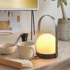 Carrie Built In Battery Table Lamp
