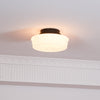 Charles Edwards Ceiling Lamp