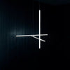 Coordinates Suspension