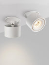 Ember Recessed Led Downlight
