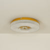 Ayla Led Flush Mount Ceiling Light