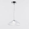 Blown Glass Random Pendant Light