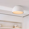 duo-ceiling-lamp