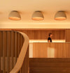 duo-ceiling-lamp