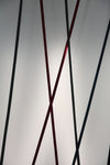 Elastica Arbitrary Floor Lamp