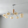 Elliptical Persimmon Chandelier