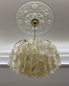 Shell Pendant Lamp