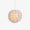 Flowers Ball Pendant Light