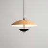 Frisbee Pendant Lamp