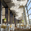 Gingko Chandelier C