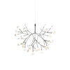 heracleum-chandelier