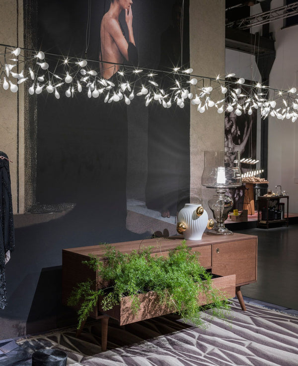 heracleum-chandelier