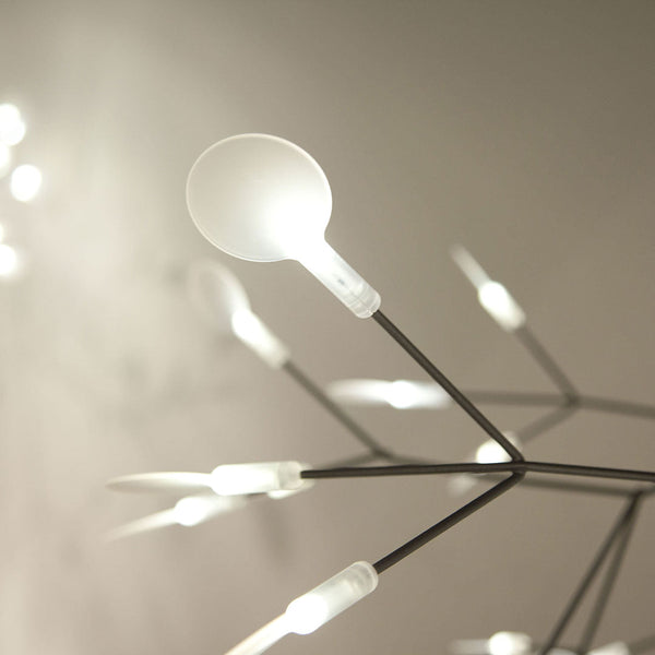 heracleum-chandelier