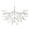 heracleum-chandelier