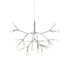 heracleum-chandelier