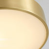 Hero Rotating Ceiling Lamp