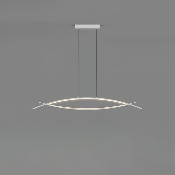Hyperbola Pendant Light