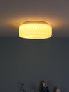 Adler Ceiling Light