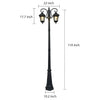 2 Lights Outdoor Pole Light Li002056