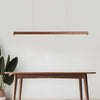 Linear Horizon Pendant Light