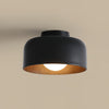 Lumosphere Ceiling Light