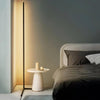 Minimalist Led Floor Lamp
