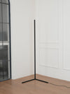 Minimalist Led Floor Lamp