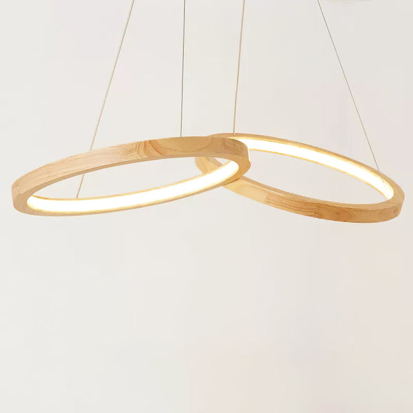 Mobius Ring Pendant Light